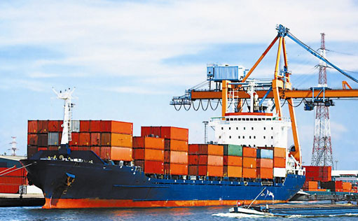 LIANYUNGANG-NUORUI IMPORT AGENT